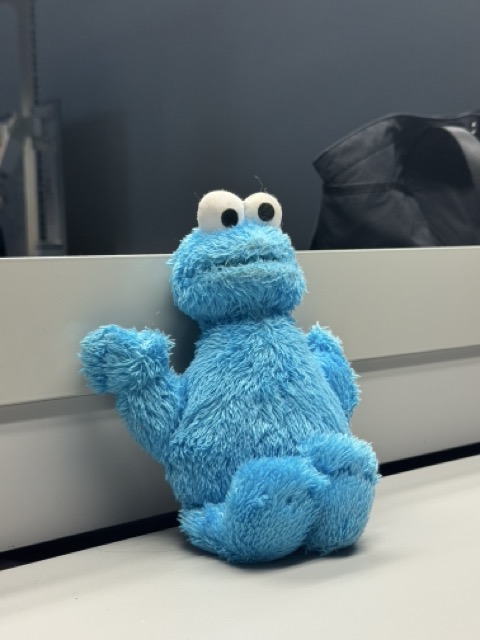 This is an image of a a stuffed animal/plushie of cookie monster from sesame street. Its eyes seem to be created with a felt material as observed from the fibres surrounding it from wear and tear. Additionally, the rest of the body seems to be constructed from a fur type fabric. 
          <br><br> <b>Material state:</b> refined<br><b>Material plasticity</b>: rigid<br><b>Material use:</b> entertaiment<br><b>Feels:</b> fluffy, soft<br><b>Colour:</b> blue, white, black