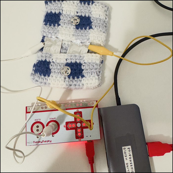Connecting experiment setup with the Makey-makey and computer with USBC adaptor.