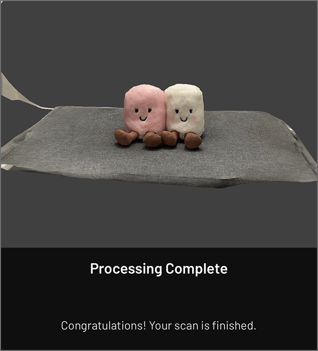 Processing mode by detail created the most accurate rendering of the 3D model, capturing it correctly from all angles and was the one I proceeded with.